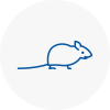 Mice Exterminators In Torquay